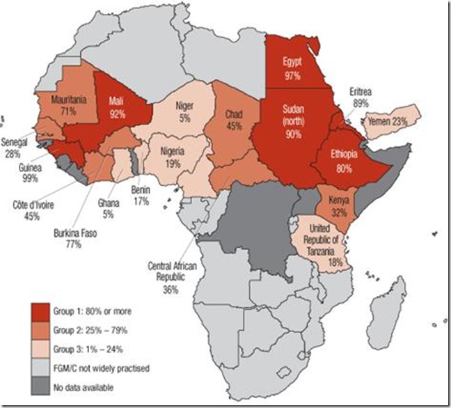 clip_image002 clip_image002