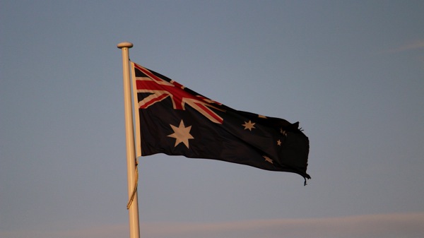 IMG_5115.JPG IMG 5115