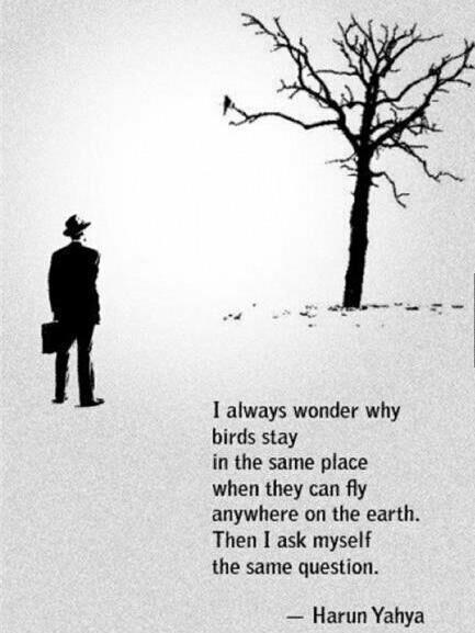 Main qimg 1af55ab91fd074b06c8d75a843a4182c