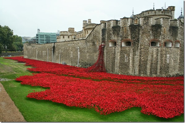 KYr8lecF5RzzabJijpX17pKR9OcnFOTc