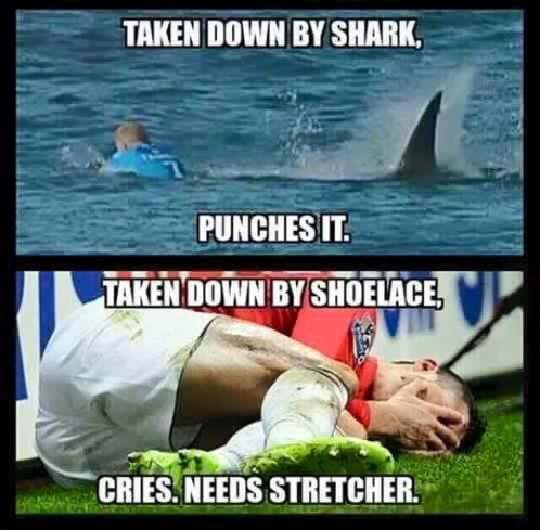 11755923_10154185225204298_6362757634190828617_n-498x489