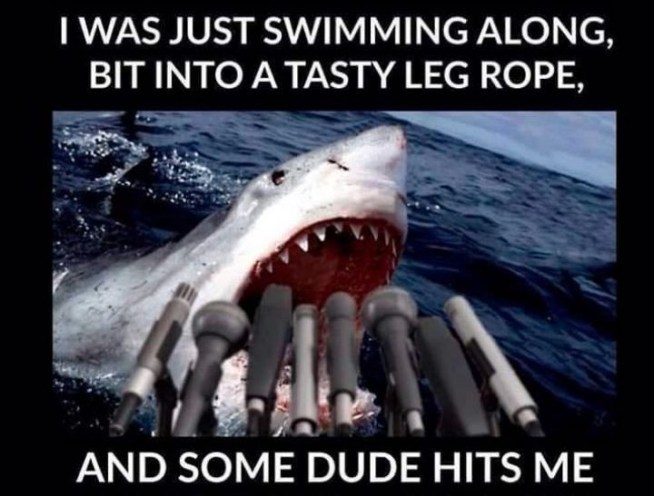 Mick-Fanning-5-720x547