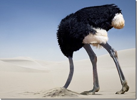 AAEAAQAAAAAAAANzAAAAJDk2MTE2Y2VkLTc1YzctNDVkOS04NjkzLWM0YmI4NzM4MzcwMQ